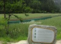  Reed Lake in Jiuzhaigou Valley