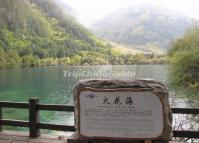 Sparkling Lake in Jiuzhaigou Valley 