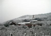 The Statue of Laozi in Maoshan Mountain