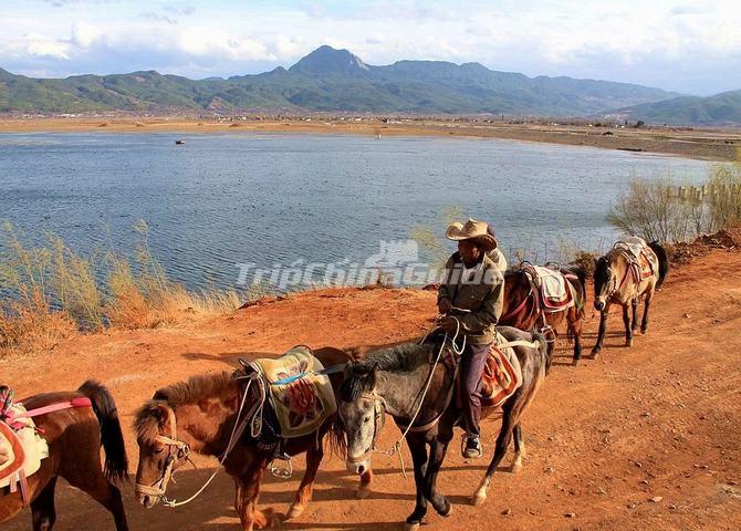 Horse Riding Lashi Lake, Lijiang, Yunnan