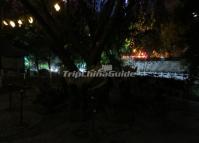 Elephant Trunk Hill Park Night Scene Guilin
