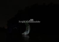Night Scene of the Guilin City Symbol - Elephant Trunk Hill