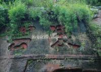 Leshan Giant Buddha Lingyun Stone Inscription