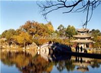 Lijiang Black Dragon Pool Park Autumn 