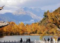 Lijiang Black Dragon Pool Park Autumn Scenery 