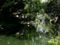 Ling Canal
