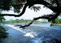 Ling Canal
