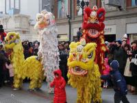 Lion Dance New Year