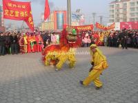 Lion Dance Chinese New Year