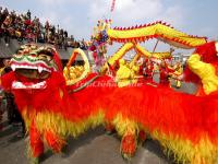 Lion Dance and Dragon Dance