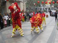 Lion Dance