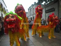 Lion Dance Competition in Chinese New Year