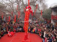 China Lion Dance Show