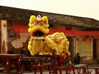 Lion Dance