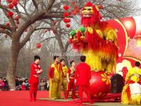 Chinese Lion Dance