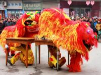 Lion Dance China