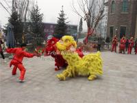 China Lion Dance