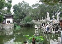 Lion Grove Garden