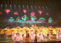 Lishui Jinsha Grand Performance Yunnan 