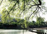 Liujiang Ancient Town Spring Scenery Sichuan