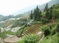 Longji Rice Terraces Guilin China