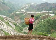 Longsheng Rice Terraces Guilin China