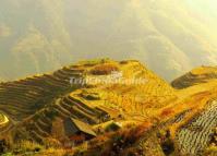 Longsheng Rice Terraces China October
