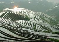 Longsheng Rice Terraces Guilin 