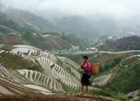 Longsheng Rice Terraces Tour