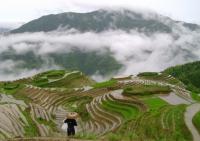 Longsheng Terraced Fields 