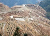 Longsheng Rice Terraces November 