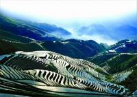 The Breathtaking Longji Terraced Fields in Longsheng China