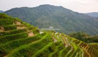 Longji Terraced Fields - Another Landscape of Guilin