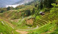 Longji Terraced Fields - Another Landscape of Guilin