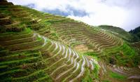 Longji Terraced Fields - Another Landscape of Guilin