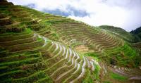 Longji Terraced Fields - Another Landscape of Guilin