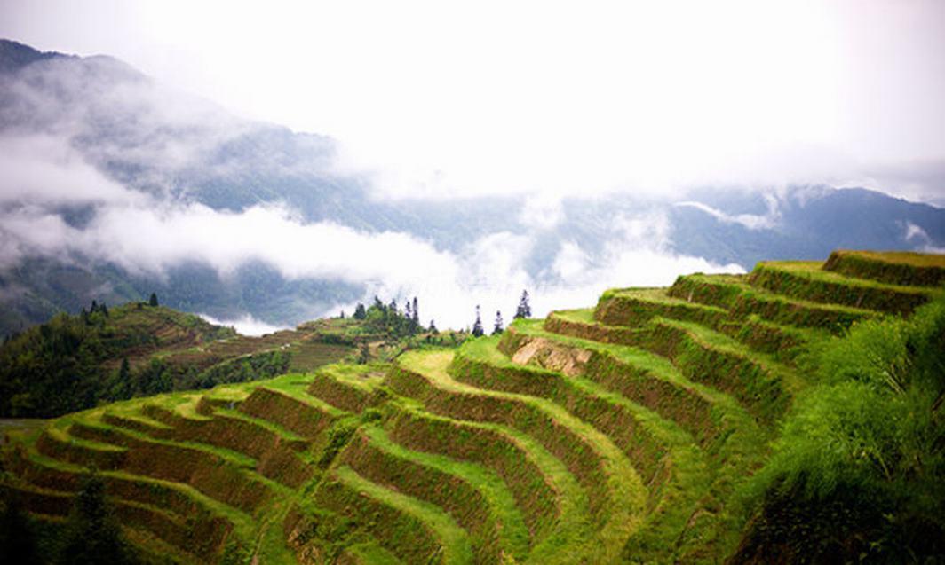 Longji Terraced Fields - Another Landscape of Guilin