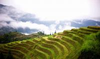 Longji Terraced Fields - Another Landscape of Guilin