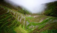 Longji Terraced Fields - Another Landscape of Guilin