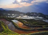 Longshuba Rice Terraces Morning