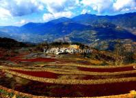 Longshuba Red Rice Terraces