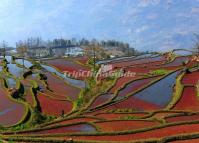 The Colorful Longshuba Rice Terraces