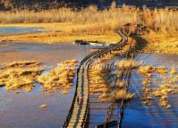 The Walking Marriages Bridge in Lugu Lake