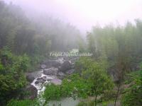 The Bamboo Forest in Mao'er Mountain