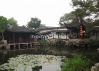 Lotus Pond at Master of the Nets Garden