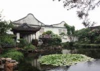 Master of the Nets Garden Lotus Pond