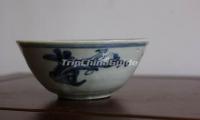 Blue and white Porcelain Bowl Ming Dynasty