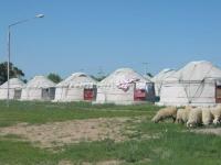  Mongolian Ethnic Village