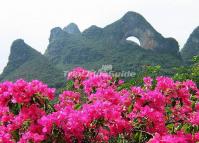 Moon Hill Scenic Area Yangshuo