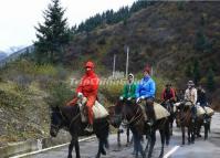 Enjoy Horse Riding in Mounigou Valley 